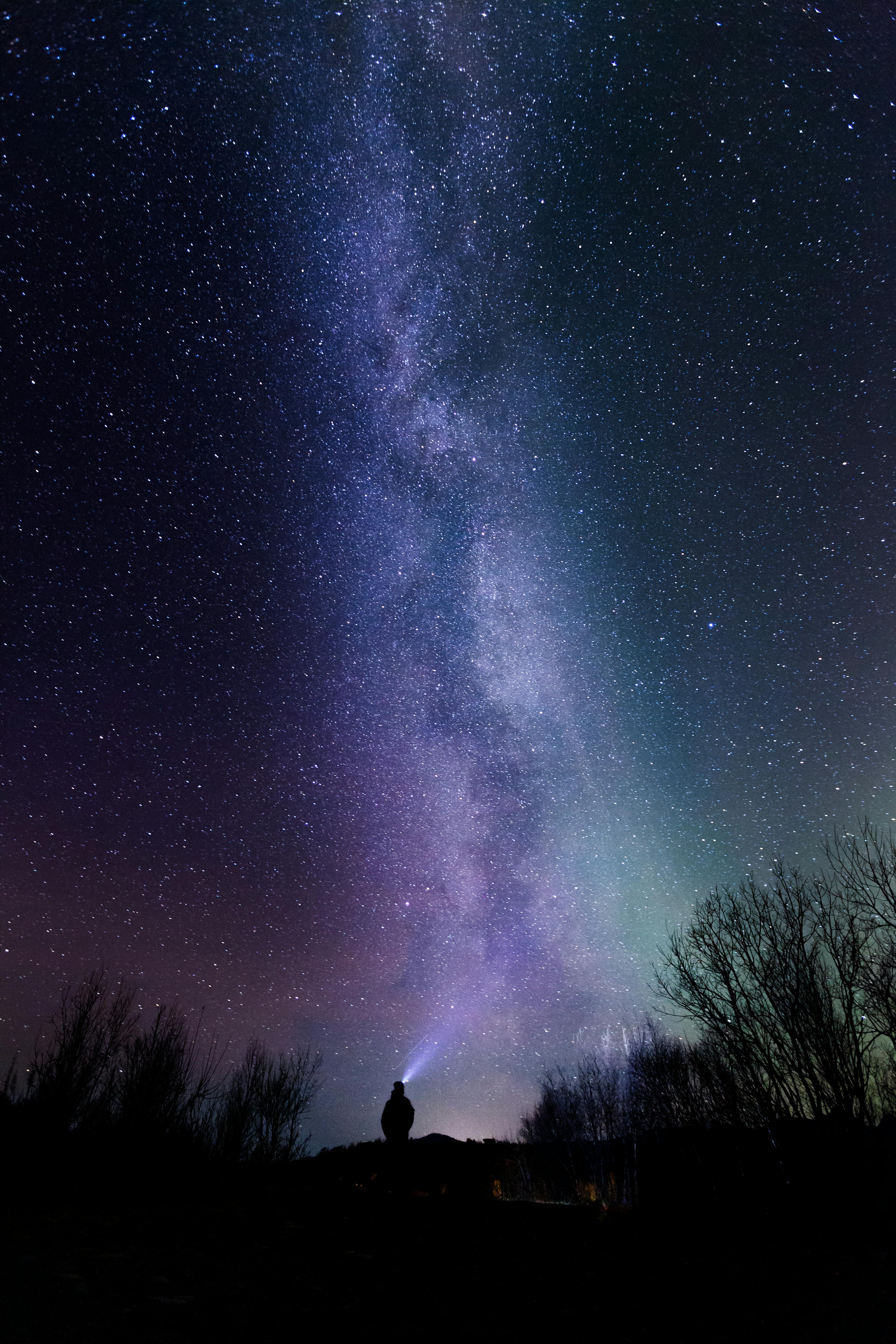 Person gazing at the stars